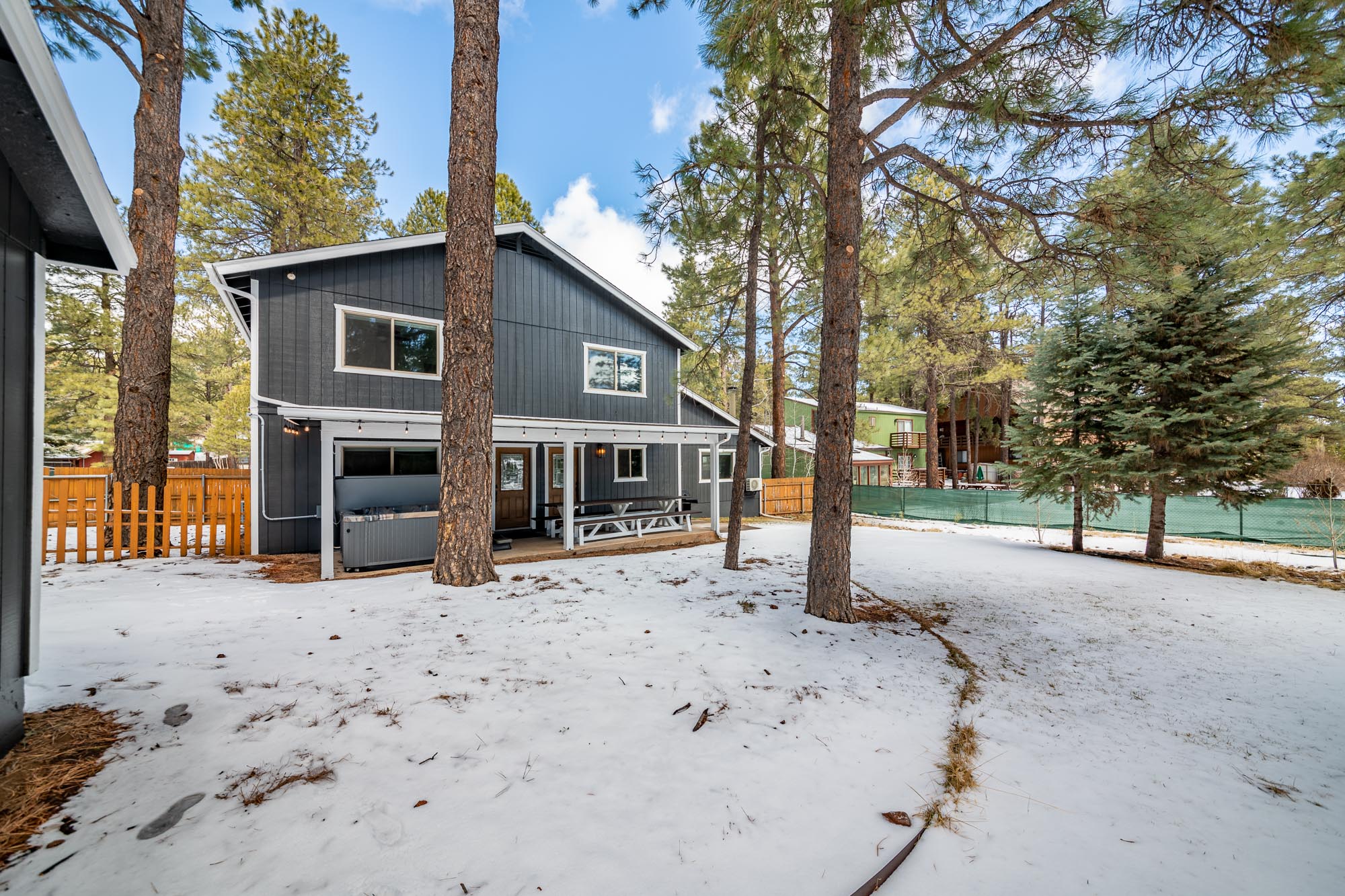 Backyard with pine trees and outdoor space